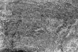 NMSA 03 111N