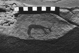 NMSA 03 4236P