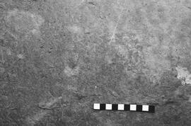 NMSA 03 3802P