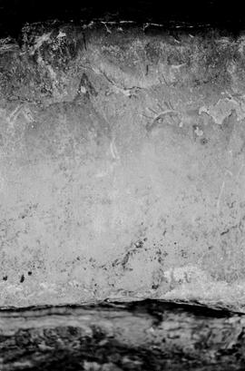 NMSA 03 5033P