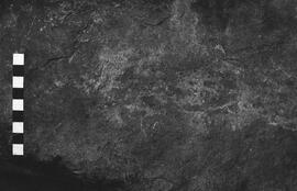 NMSA 03 2711P