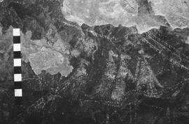 NMSA 03 4367P