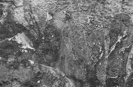 NMSA 03 7883P