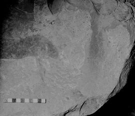 NMSA 03 5807P