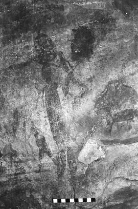 NMSA 03 5298P