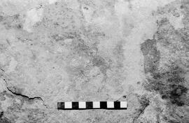 NMSA 03 6258P