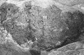 NMSA 03 197P