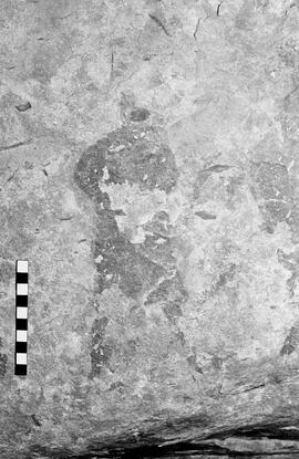 NMSA 03 6148P