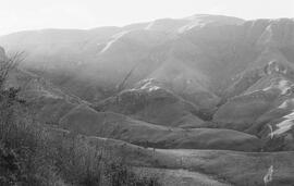 NMSA 03 2446P