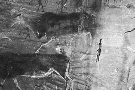 NMSA 03 497P