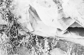 NMSA 03 2522P