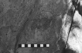 NMSA 03 2799P