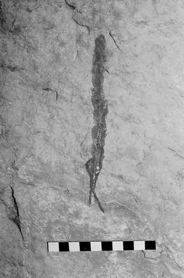 NMSA 03 5353P