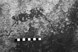NMSA 03 3133P