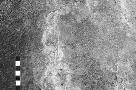NMSA 03 1968P
