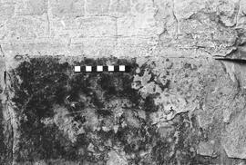 NMSA 03 2009P