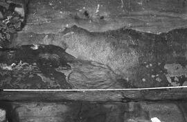 NMSA 03 186P