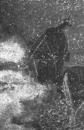 NMSA 03 7435P