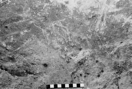 NMSA 03 6264P