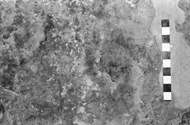 NMSA 03 1977P