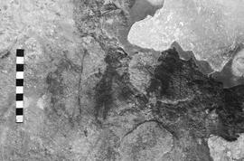 NMSA 03 4499P
