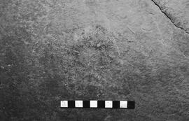 NMSA 03 4349P