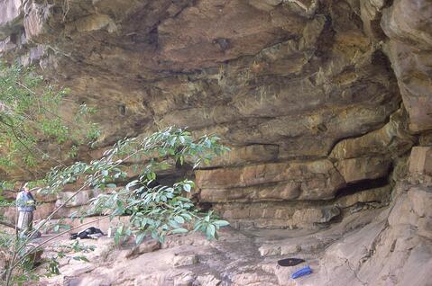 Open original Digital object