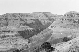 NMSA 03 2942P