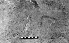 NMSA 03 5792P