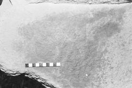 NMSA 03 1565P
