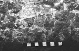 NMSA 03 4533P