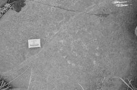 NMSA 03 7470P