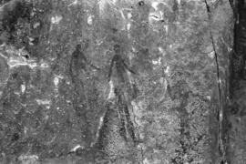 NMSA 03 8933P