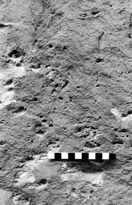 NMSA 03 3345P