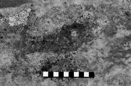 NMSA 03 2970P