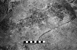 NMSA 03 3787P