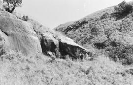 NMSA 03 2259P