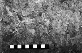 NMSA 03 3242P