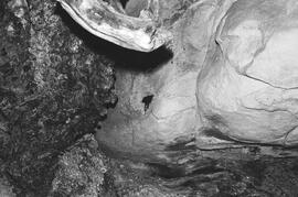NMSA 03 1893P
