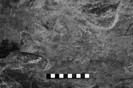 NMSA 03 4005P