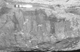 NMSA 03 1211P