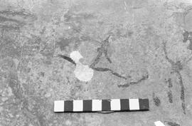 NMSA 03 1405P