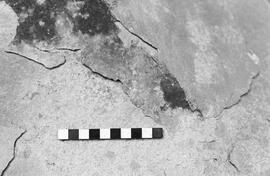 NMSA 03 2796P