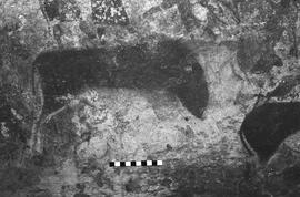 NMSA 03 5262P