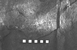 NMSA 03 2585P