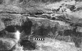 NMSA 03 822P