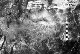 NMSA 03 3915P