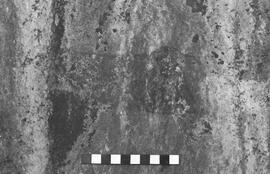 NMSA 03 2256P