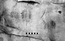 NMSA 03 4222P