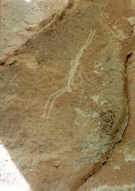 NMSA 02 244P